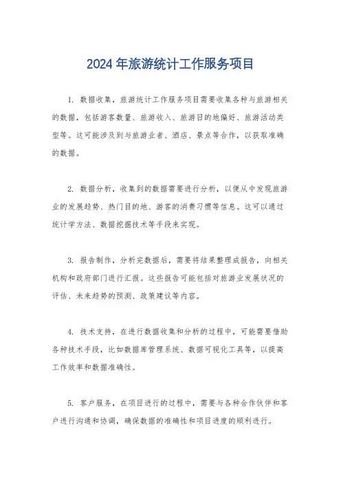 2024年旅游统计工作服务项目