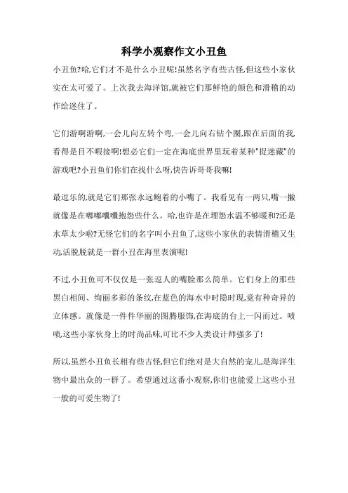 科学小观察作文小丑鱼