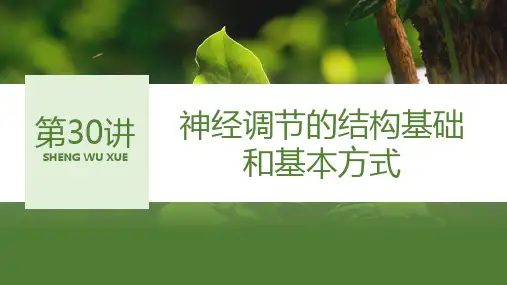人教版2024届高考生物一轮复习神经调节的结构基础和基本方式课件