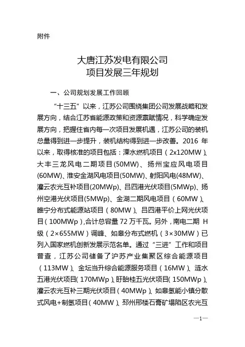 大唐江苏发电有限公司项目发展三年规划