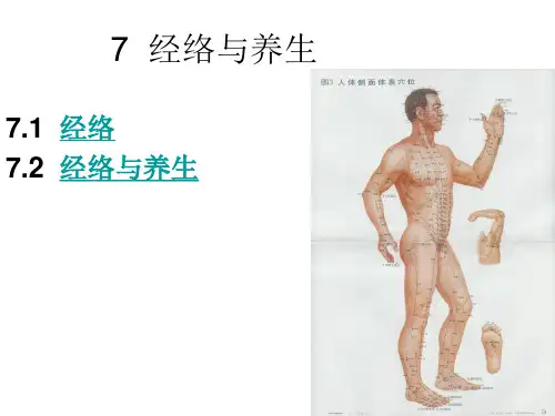 经络与养生PPT课件