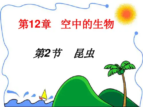 《昆虫》ppt课件