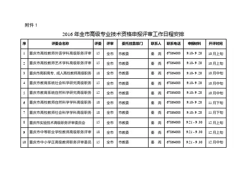 职称申报表格