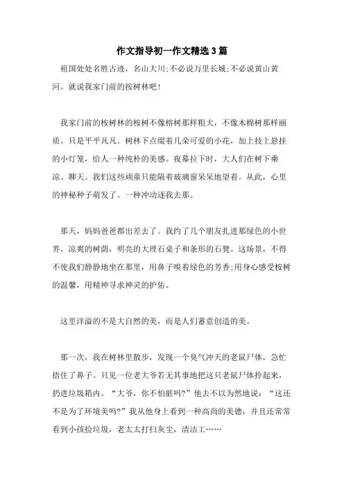 2021年作文指导初一作文精选3篇