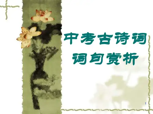 中考古诗词句赏析ppt课件