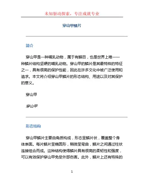 穿山甲鳞片