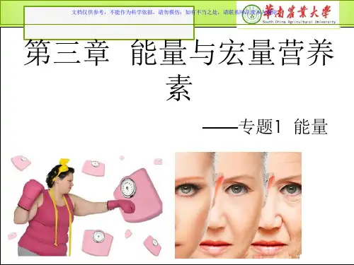 食品营养学能量课件