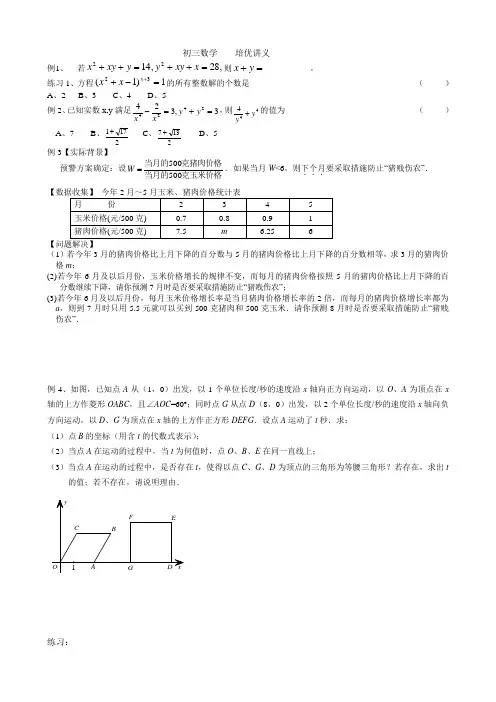 (完整)初三数学培优讲义