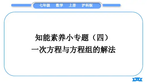 沪科版七年级数学上第3章一次方程与方程组知能素养小专题(四)一次方程与方程组的解法习题课件
