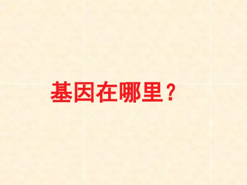 基因在染色体上