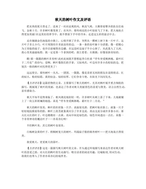 秋天的树叶作文及评语