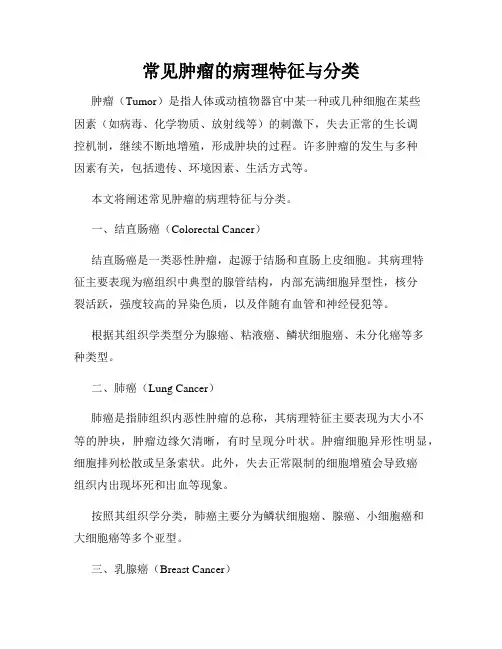 常见肿瘤的病理特征与分类
