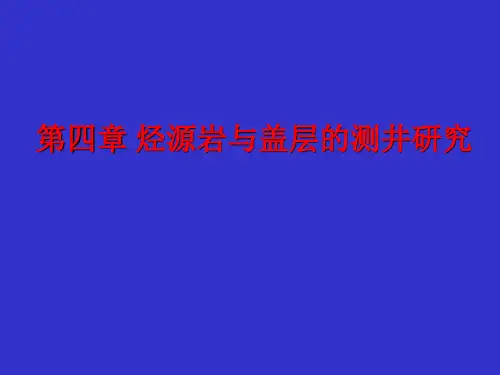 第四章 烃烃源岩与盖层测井评价详解