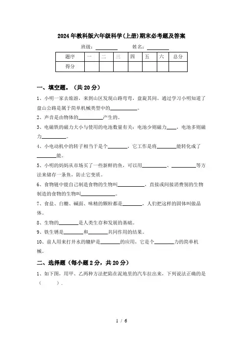 2024年教科版六年级科学(上册)期末必考题及答案