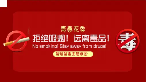 中小学生世界无烟日PPT模板吸烟有害健康禁烟知识主题班会课件PPT13