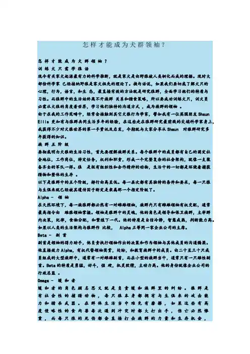 如何树立犬的主人意识？