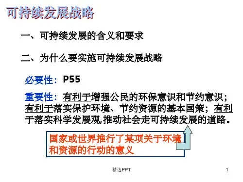 《两个发展战略》PPT课件
