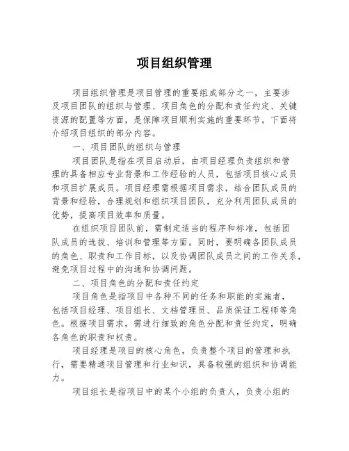 项目组织管理
