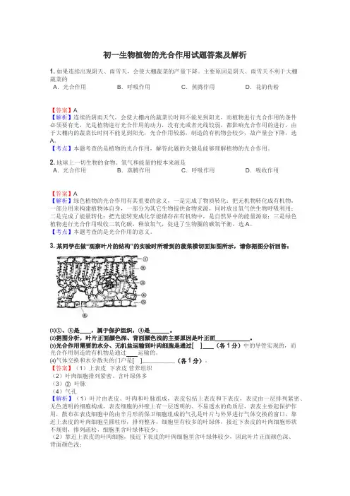 初一生物植物的光合作用试题答案及解析
