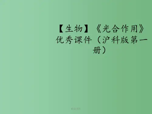 高中生物《光合作用》 沪科版第一册