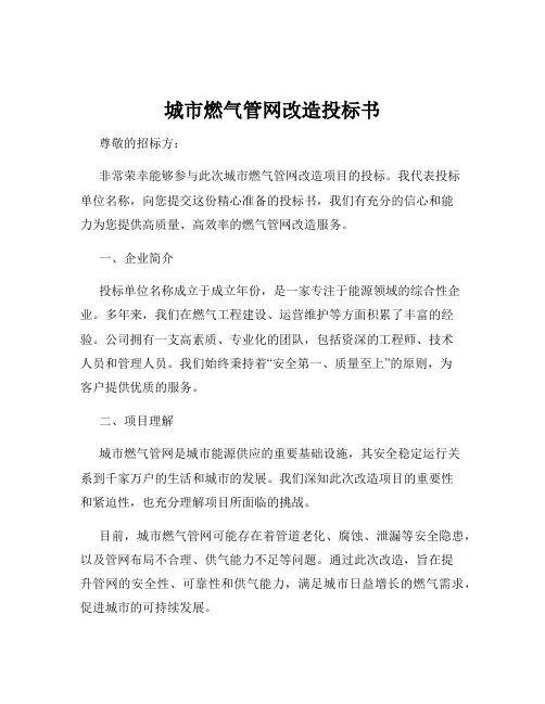 城市燃气管网改造投标书