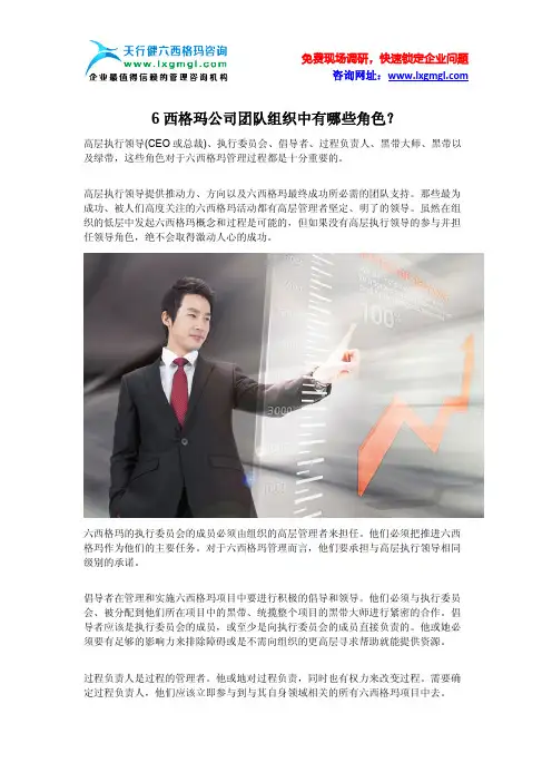 6西格玛公司团队组织中有哪些角色？