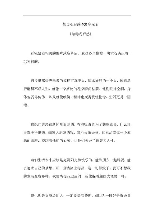 禁毒观后感400字左右