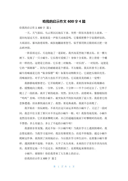 给我的启示作文600字4篇