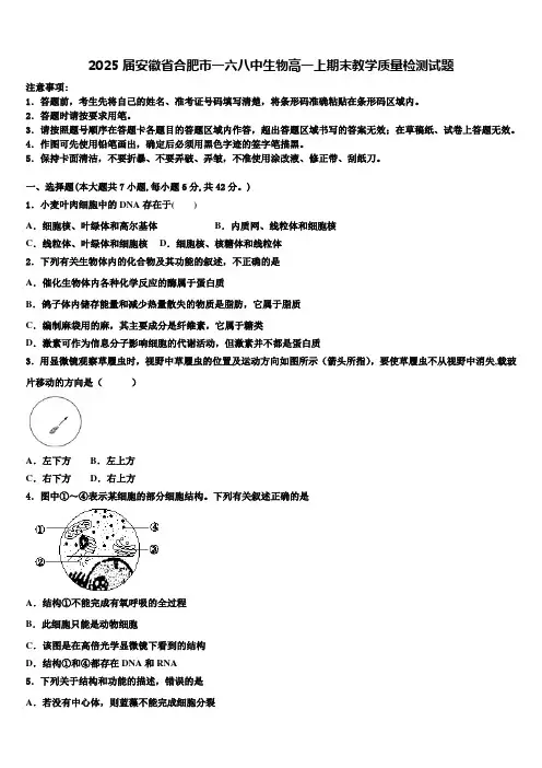 2025届安徽省合肥市一六八中生物高一上期末教学质量检测试题含解析