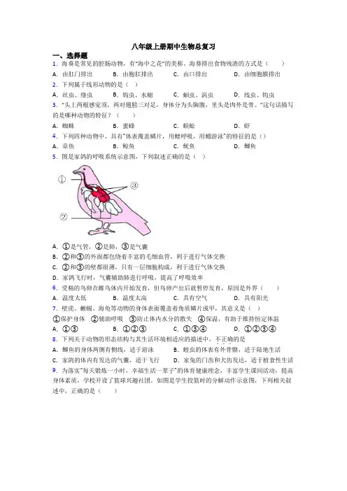 八年级上册期中生物总复习