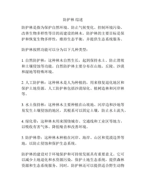 防护林 综述
