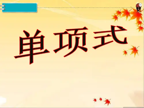《单项式》课件-02