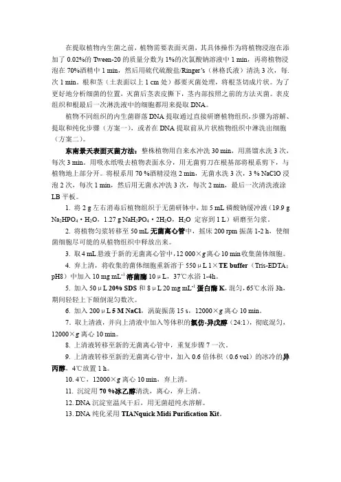 植物内生菌DNA提取方法