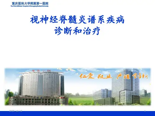 视神经脊髓炎谱系疾病 ppt课件