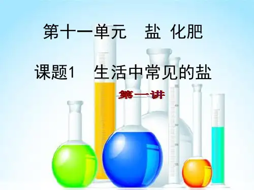《生活中常见的盐》ppt全文课件