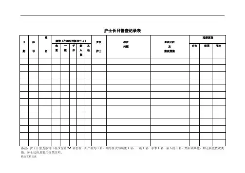 护士长日督查