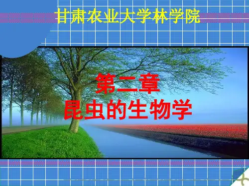 第二章 昆虫的生物学