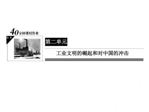 岳麓版历史必修二：2-12《新潮冲击下的社会生活》ppt课件