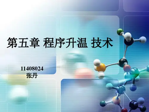 程序升温技术原理及实例分析