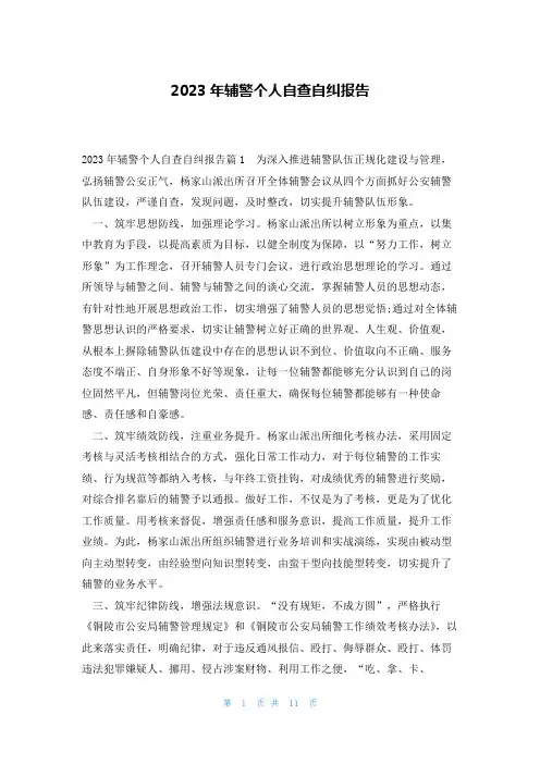 2023年辅警个人自查自纠报告