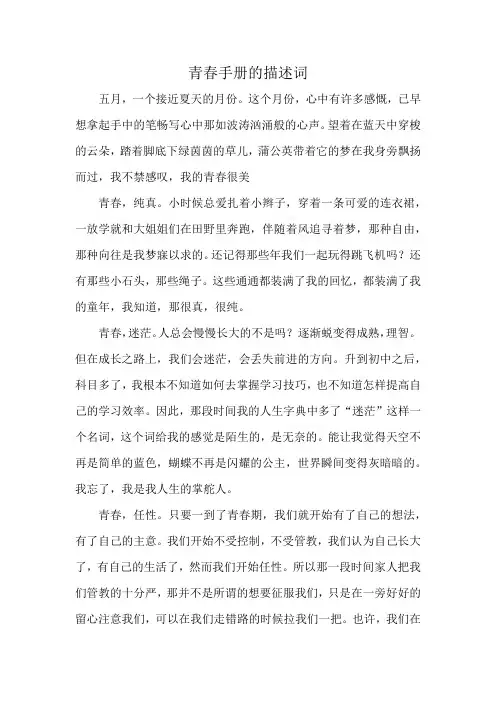 青春手册的描述词