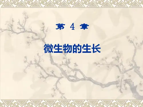 第4章微生物生长
