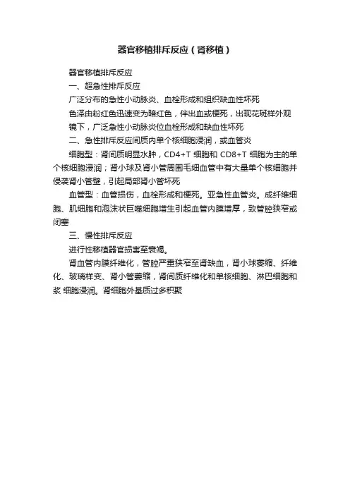 器官移植排斥反应（肾移植）