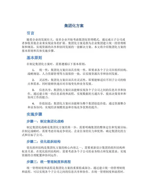 集团化方案