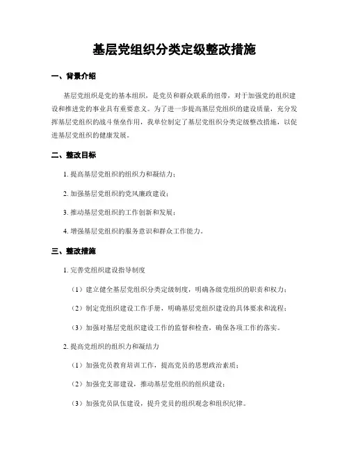 基层党组织分类定级整改措施
