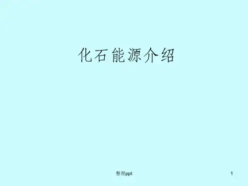 《化石能源介绍》PPT课件
