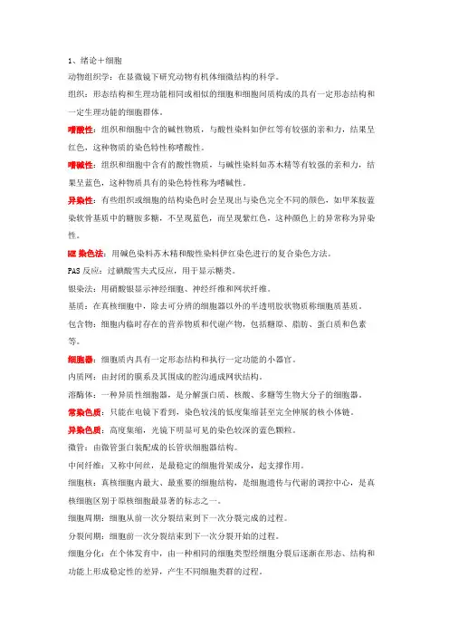动物组织与胚胎学名词解释