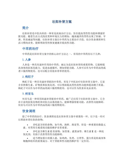 壮阳补肾方案