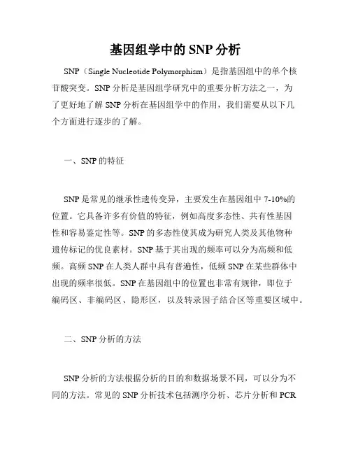 基因组学中的SNP分析