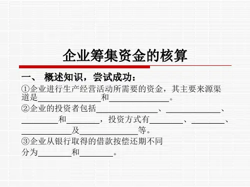 企业筹集资金的核算